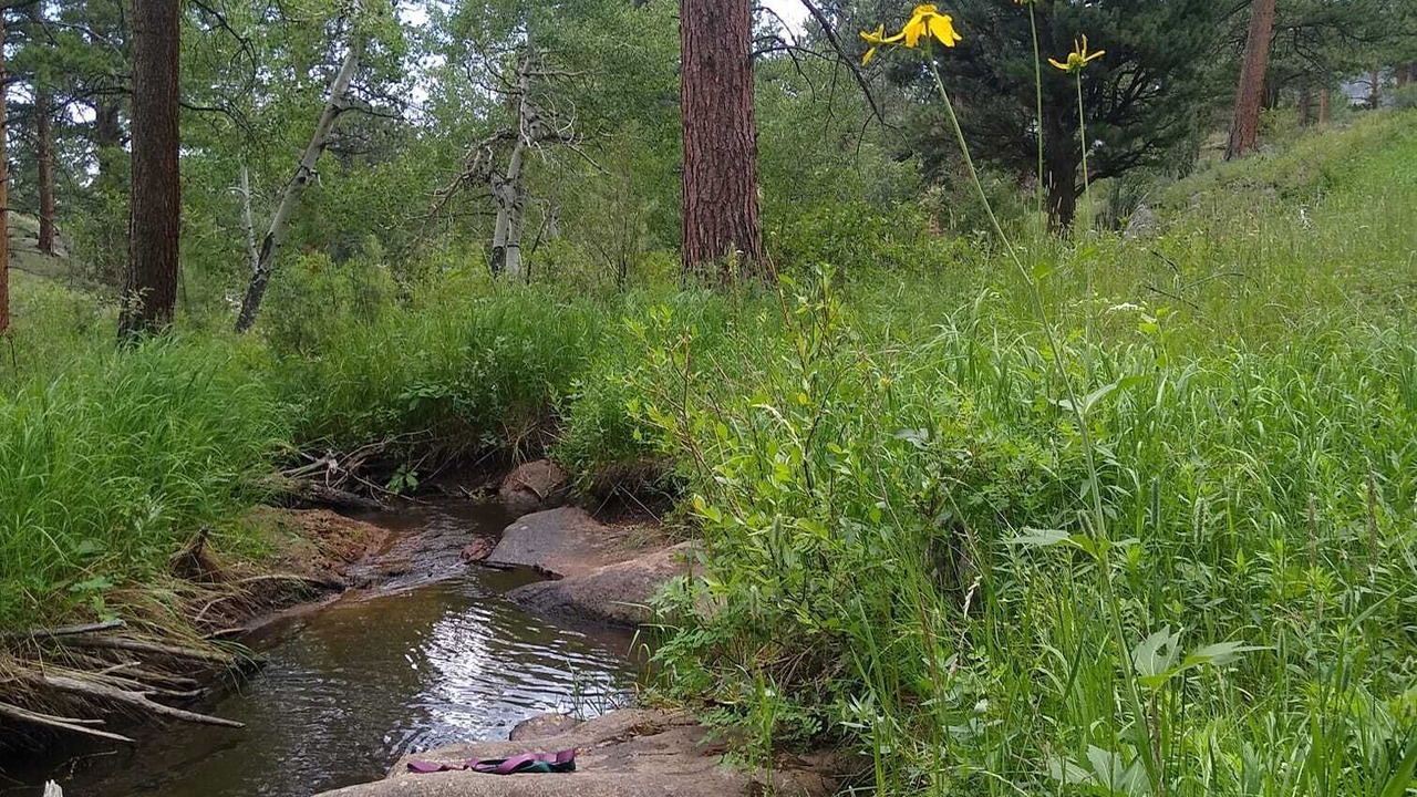 Photo of Outdoor in Estes Park