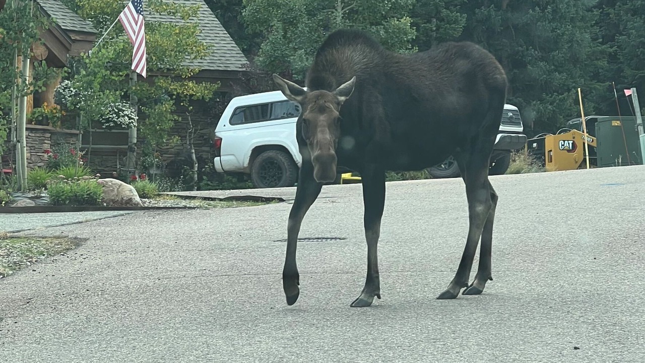 Photo of Others in Winter Park
