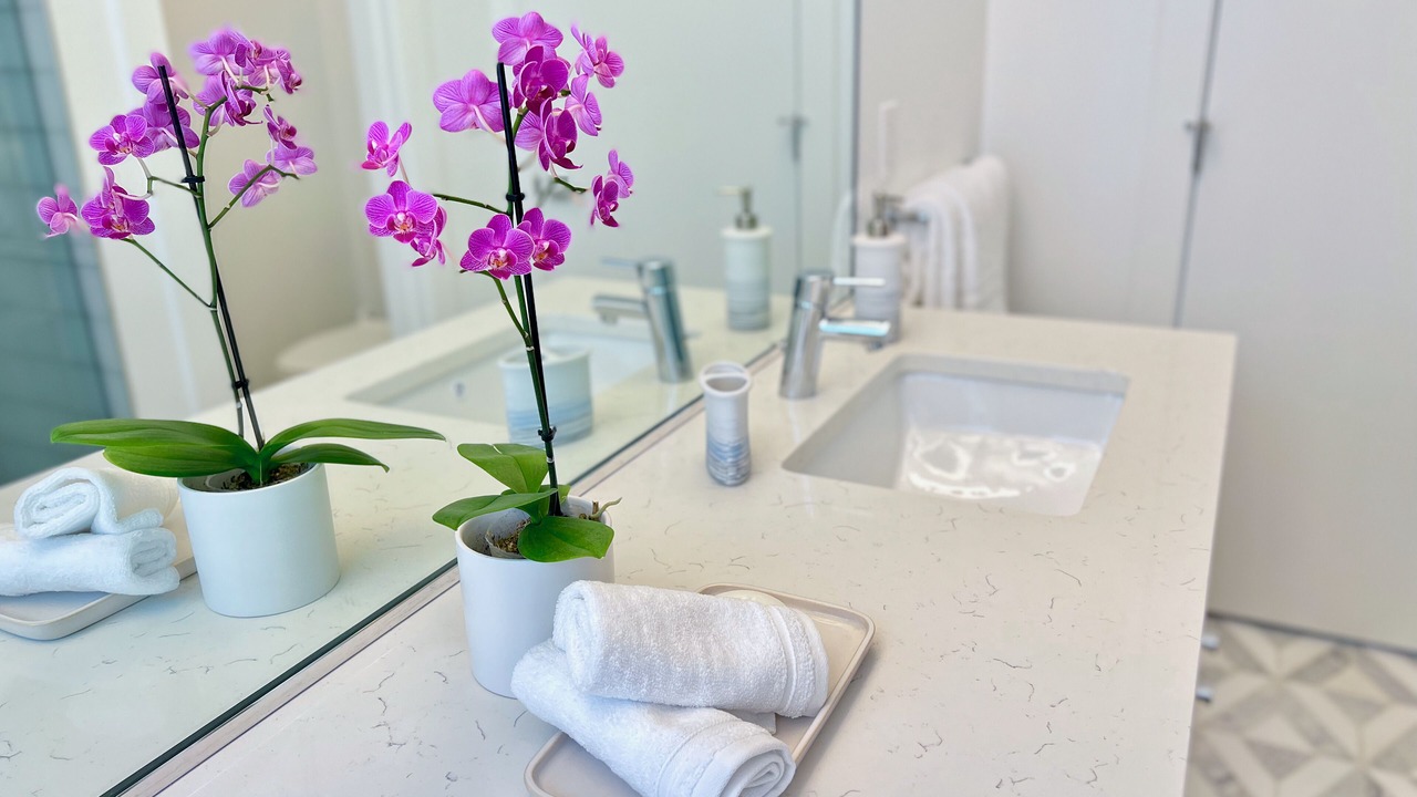 Photo of Bathroom in City Park West