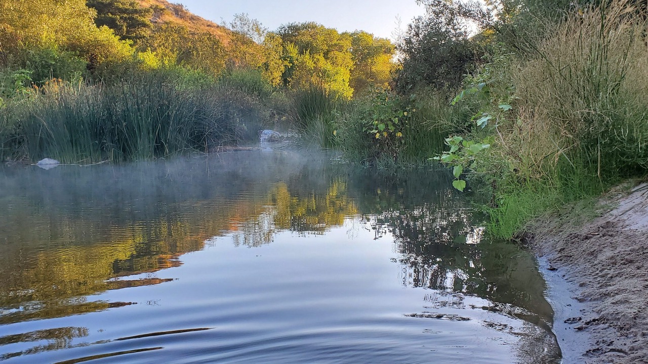 Photo of Others in Fallbrook