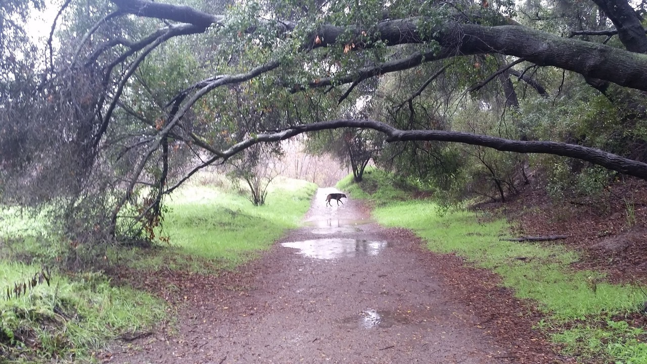 Photo of Others in Fallbrook