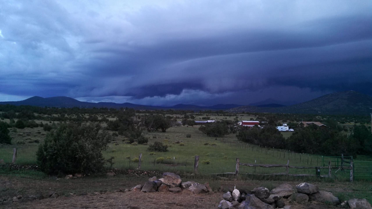 Photo of Others in Williams