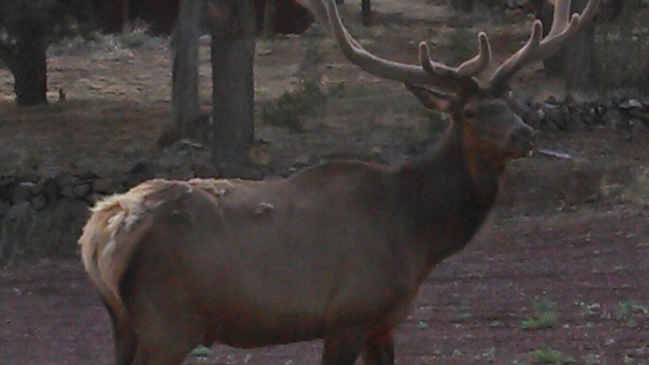 Photo of Others in Williams