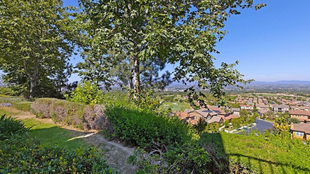 Photo of Others in Aliso Viejo