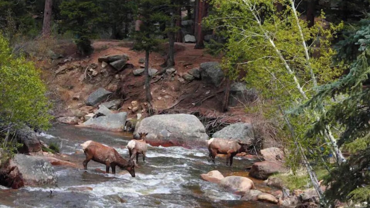 Photo of Outdoor in Estes Park