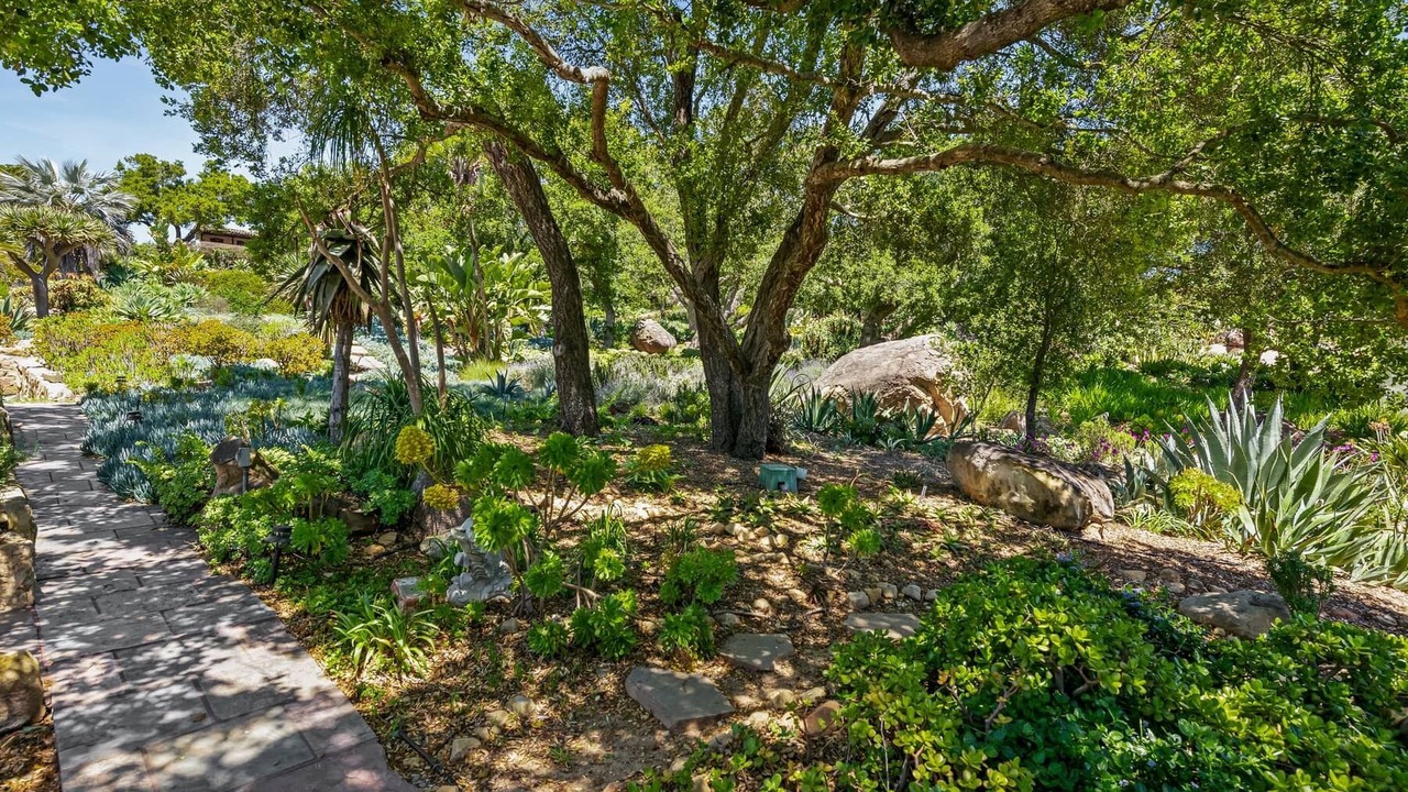 Photo of Outdoor in Cielito