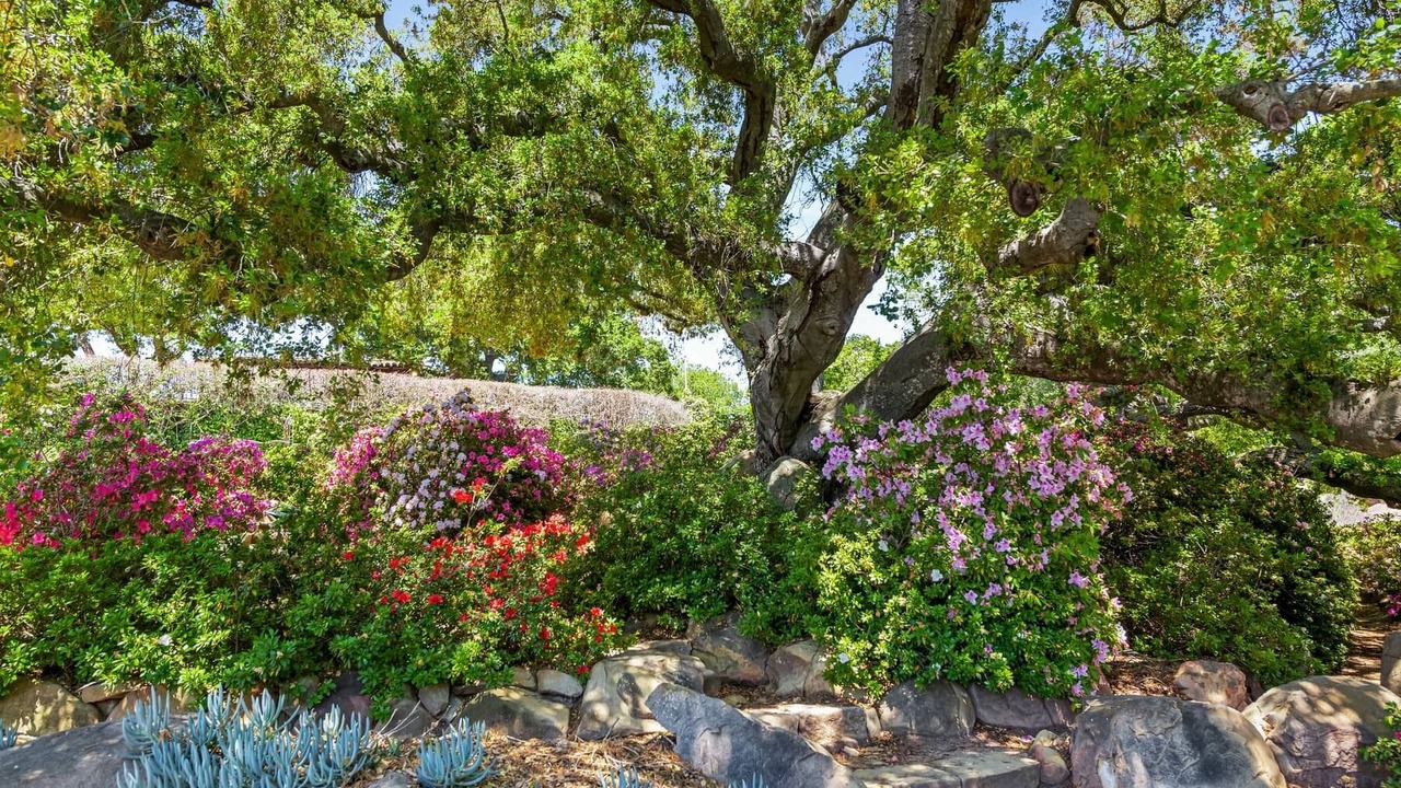 Photo of Outdoor in Cielito