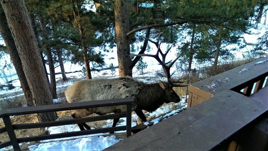 Photo of Others in Estes Park