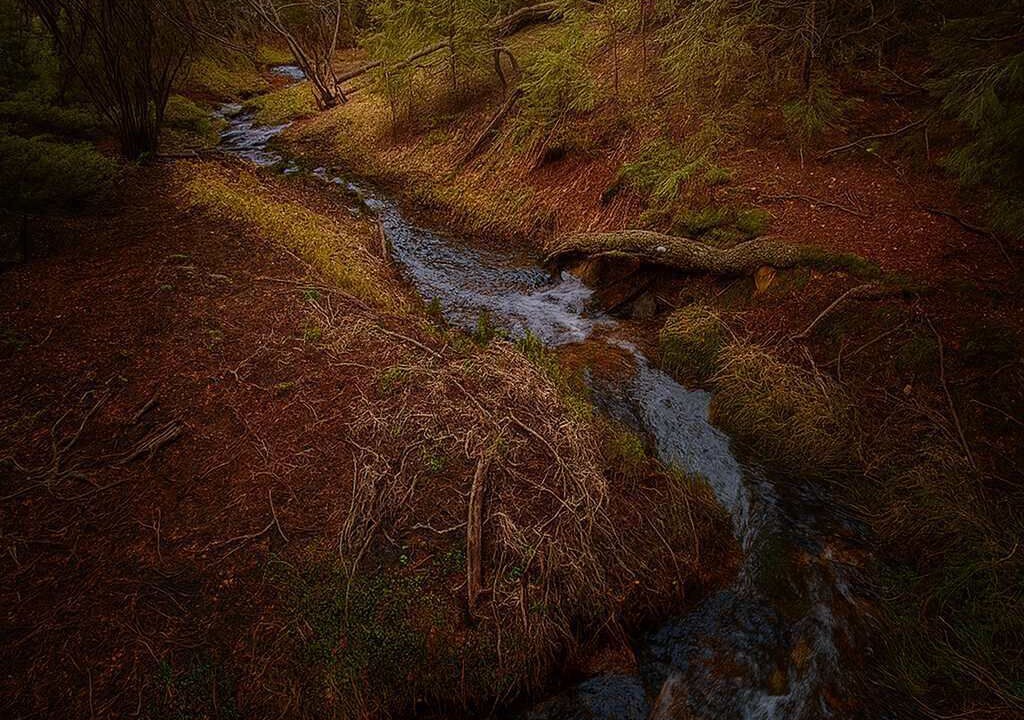 Photo of Others in Evergreen Meadows