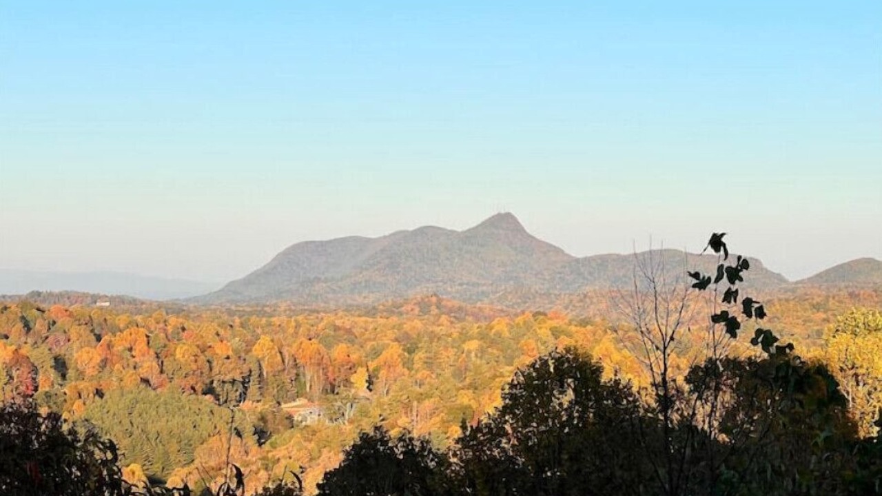 Photo of Others in Saluda