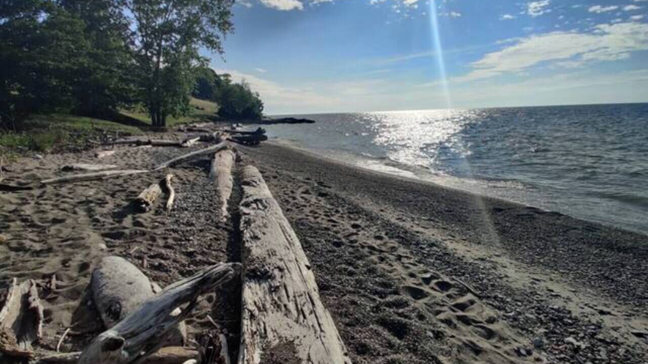 Photo of Others in Mentor Headlands