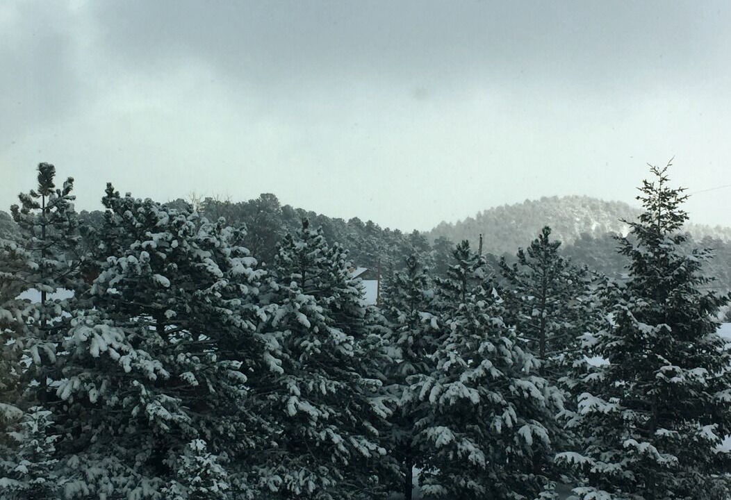 Photo of Outdoor in Golden