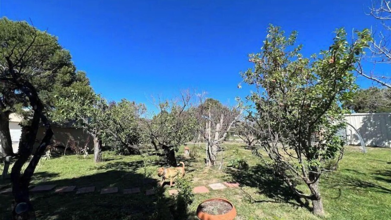 Photo of Outdoor in Cedaredge