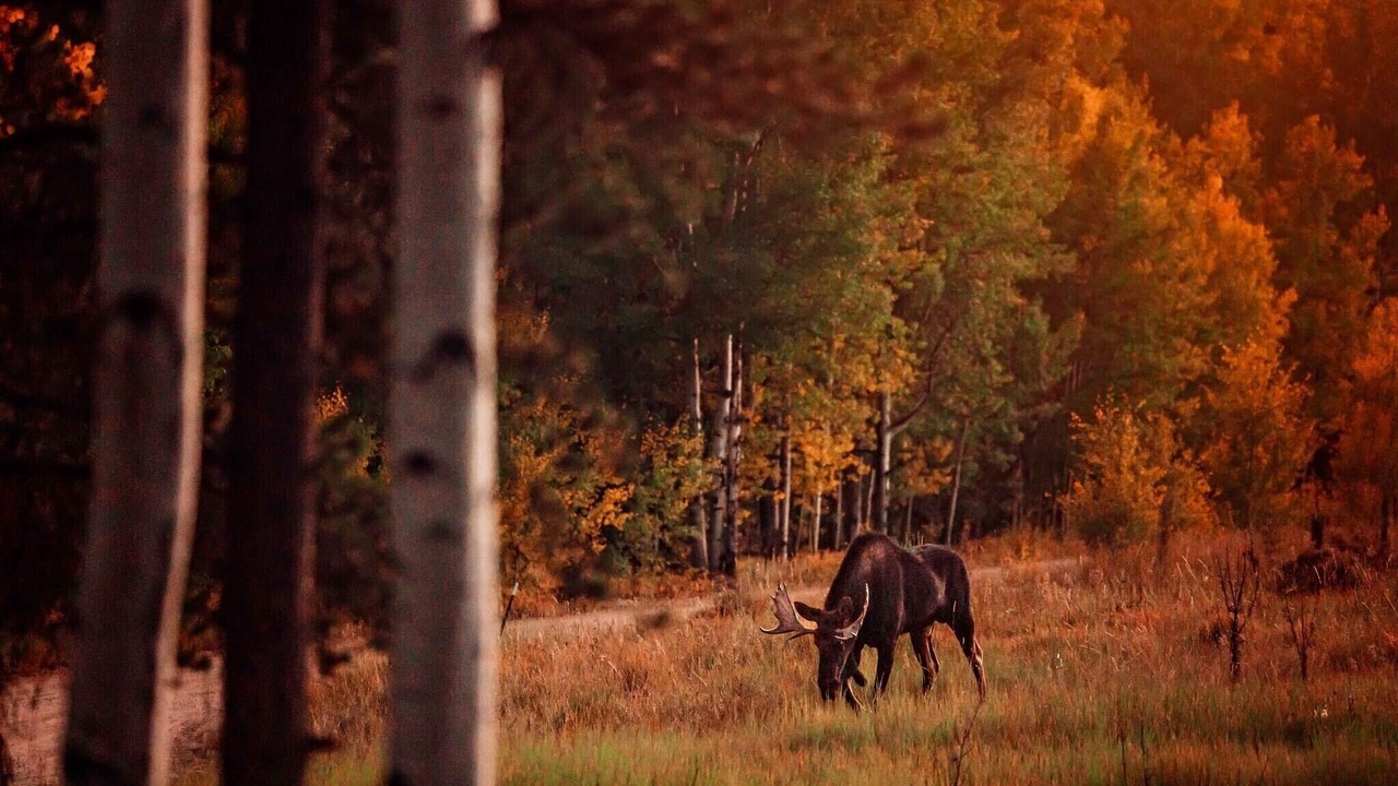 Photo of Outdoor in Granby