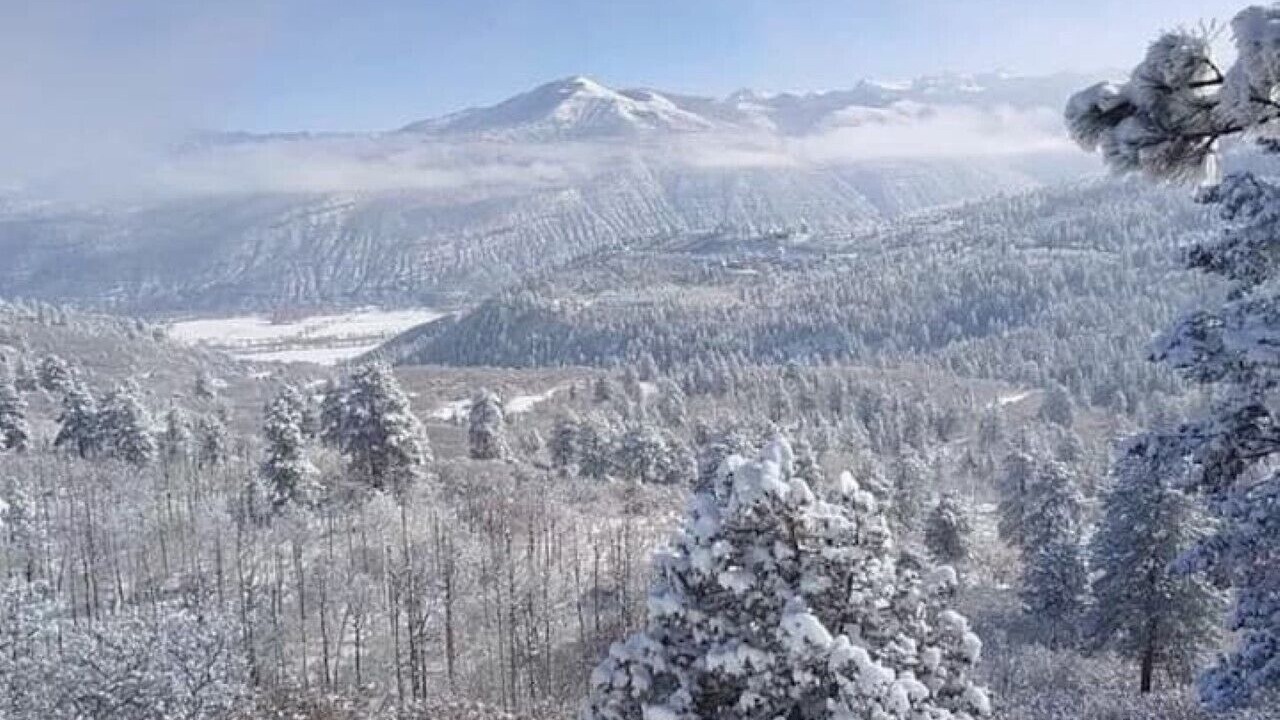 Photo of Others in Elk Meadows