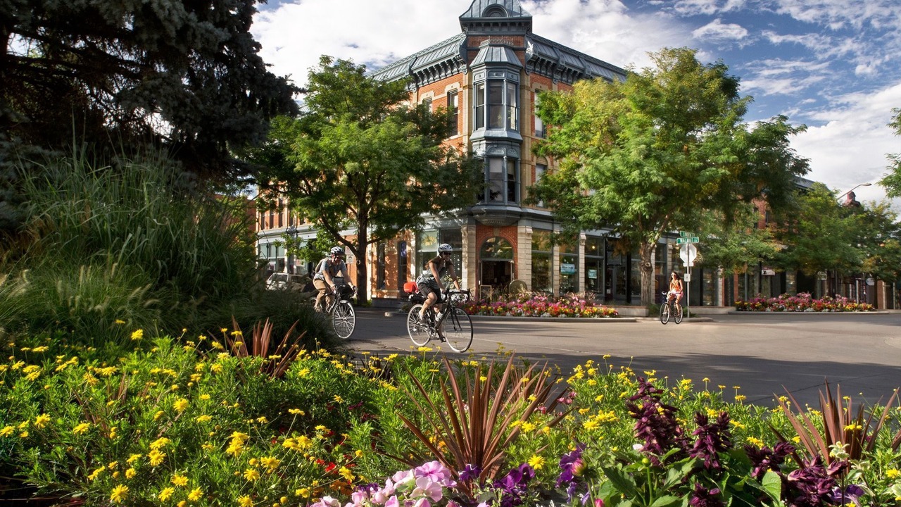 Photo of Others in Fort Collins