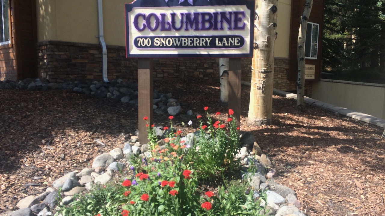 Photo of Others in Warrior's Mark