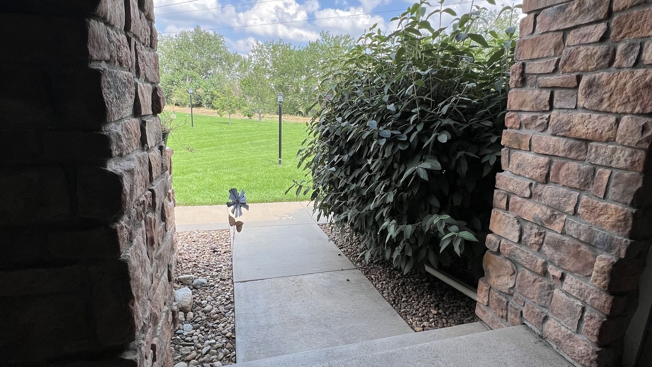 Photo of Outdoor in Littleton