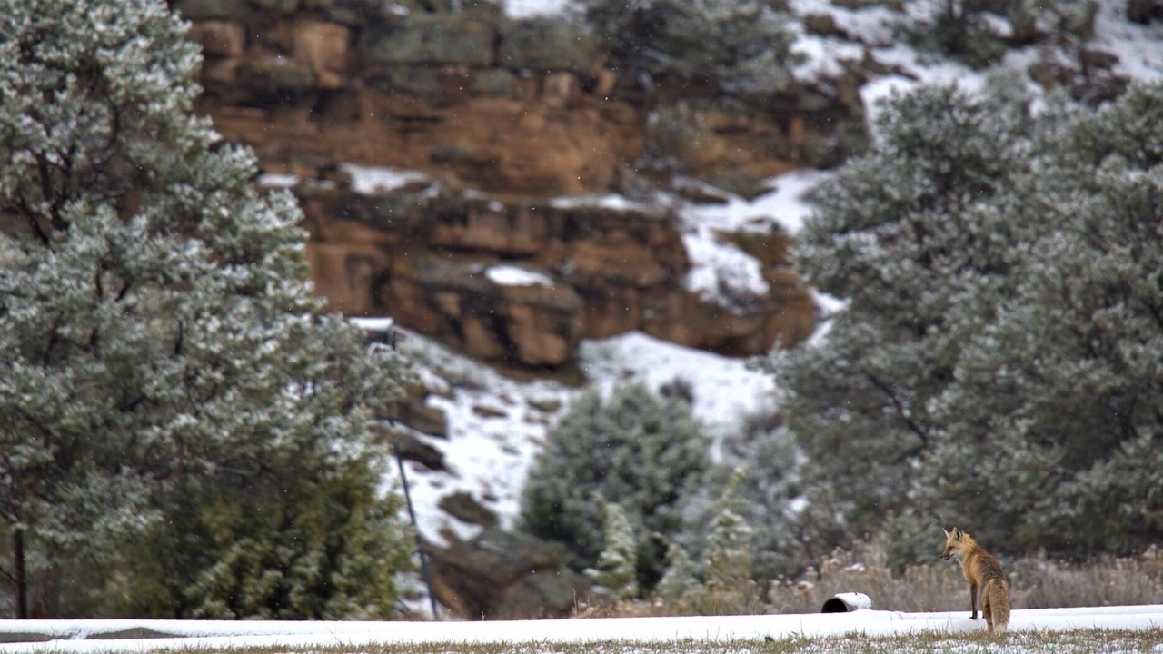 Photo of Outdoor in Montrose