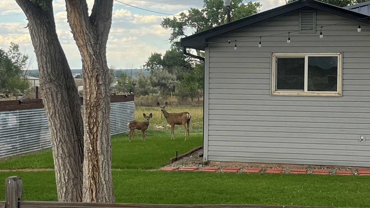Photo of Outdoor in Cortez
