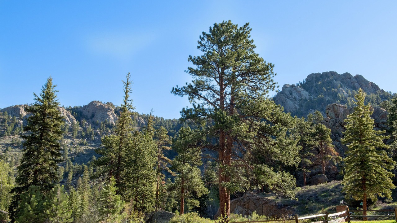 Photo of Outdoor in Estes Park