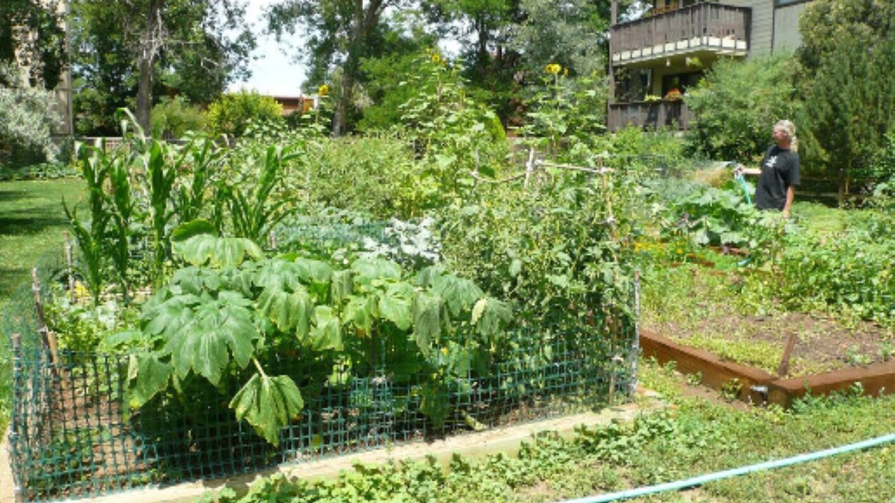 Photo of Outdoor in Glenwood Grove - North Iris