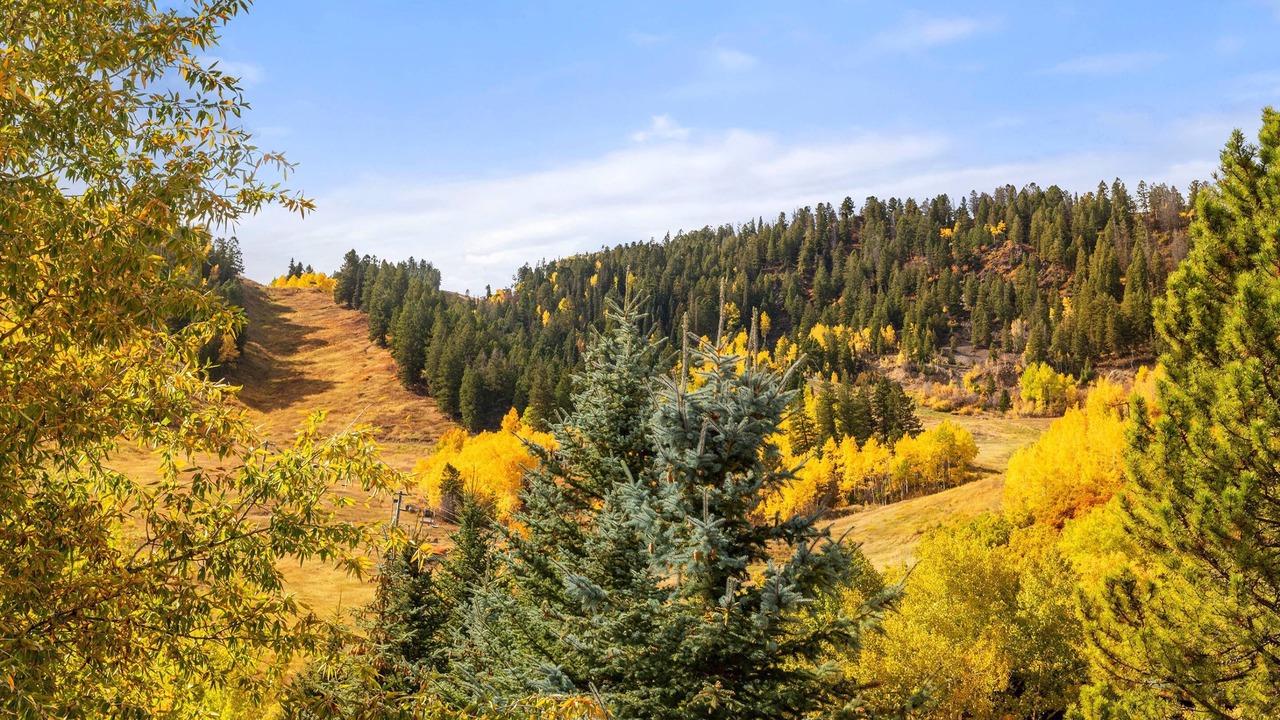 Photo of Others in Aspen