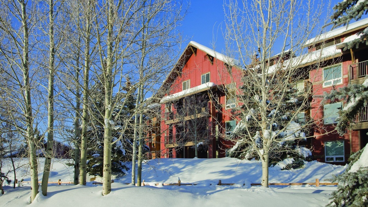Photo of Others in Steamboat Springs