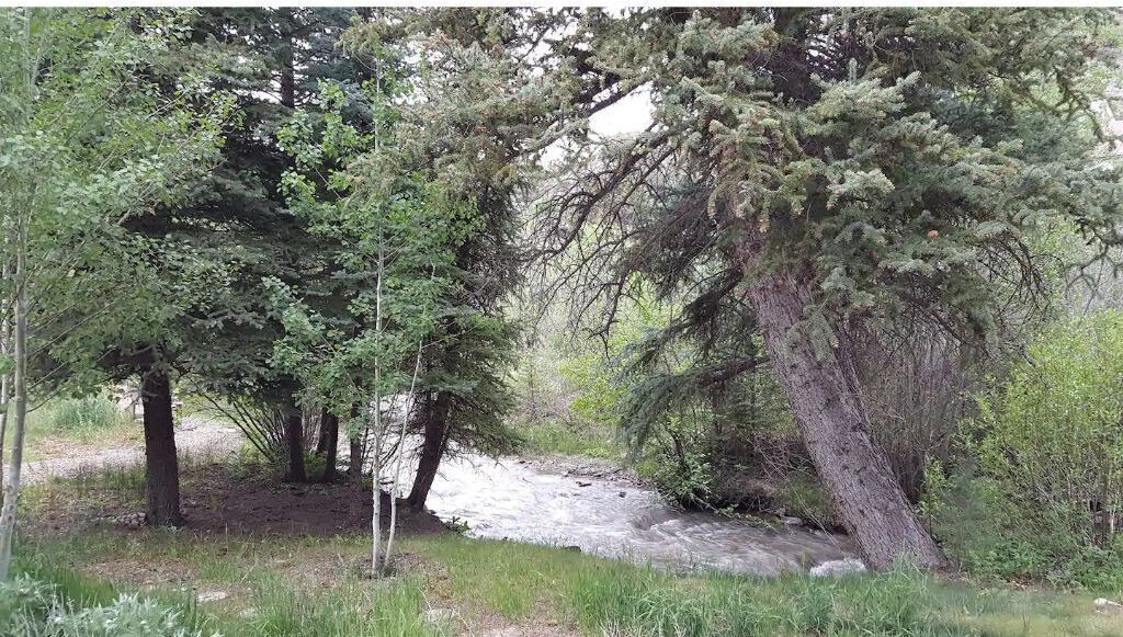 Photo of Outdoor in Snowmass