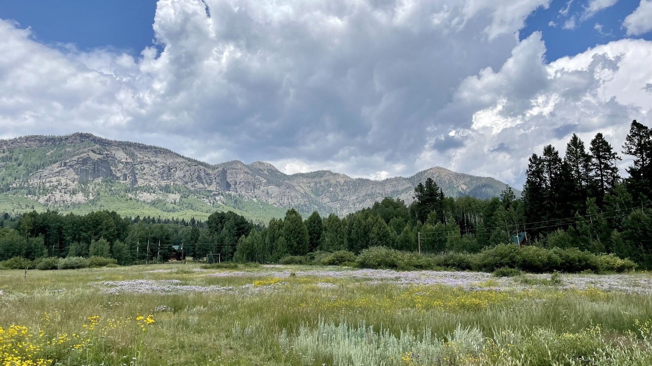 Photo of Others in Creede