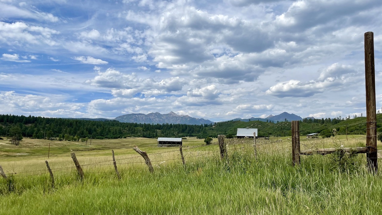 Photo of Others in Creede