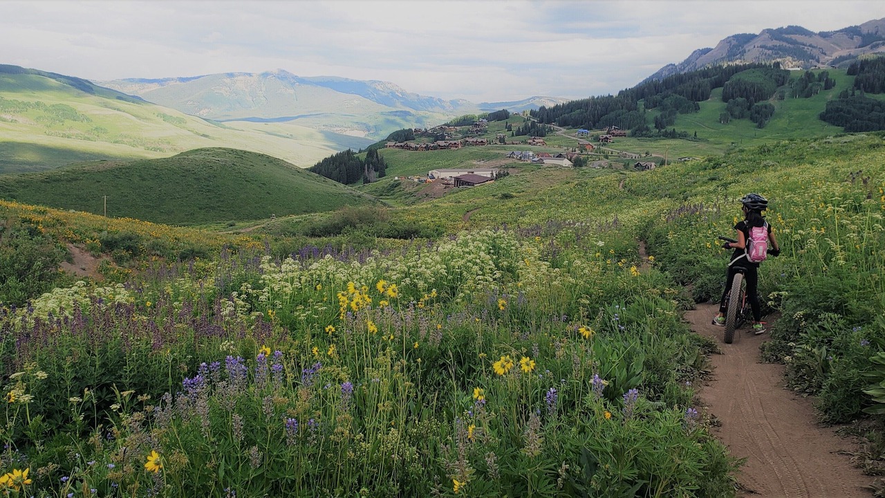 Photo of Others in Mount Crested Butte