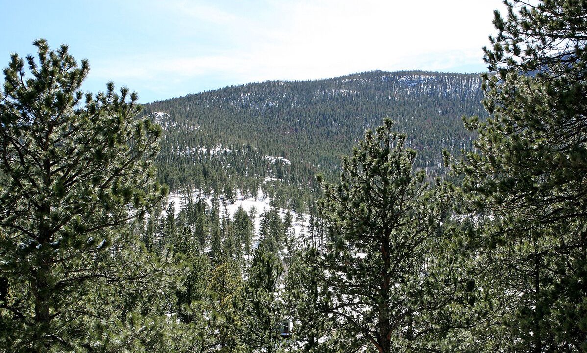 Photo of Others in Estes Park