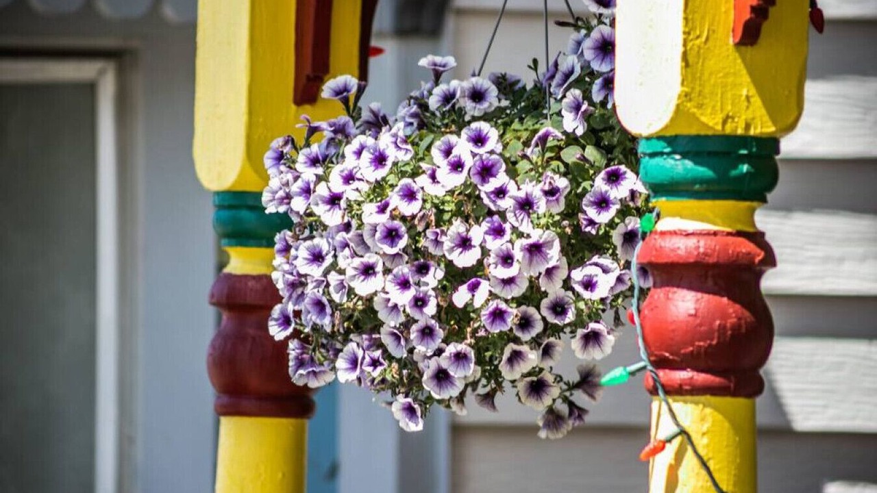 Photo of Outdoor in Leadville