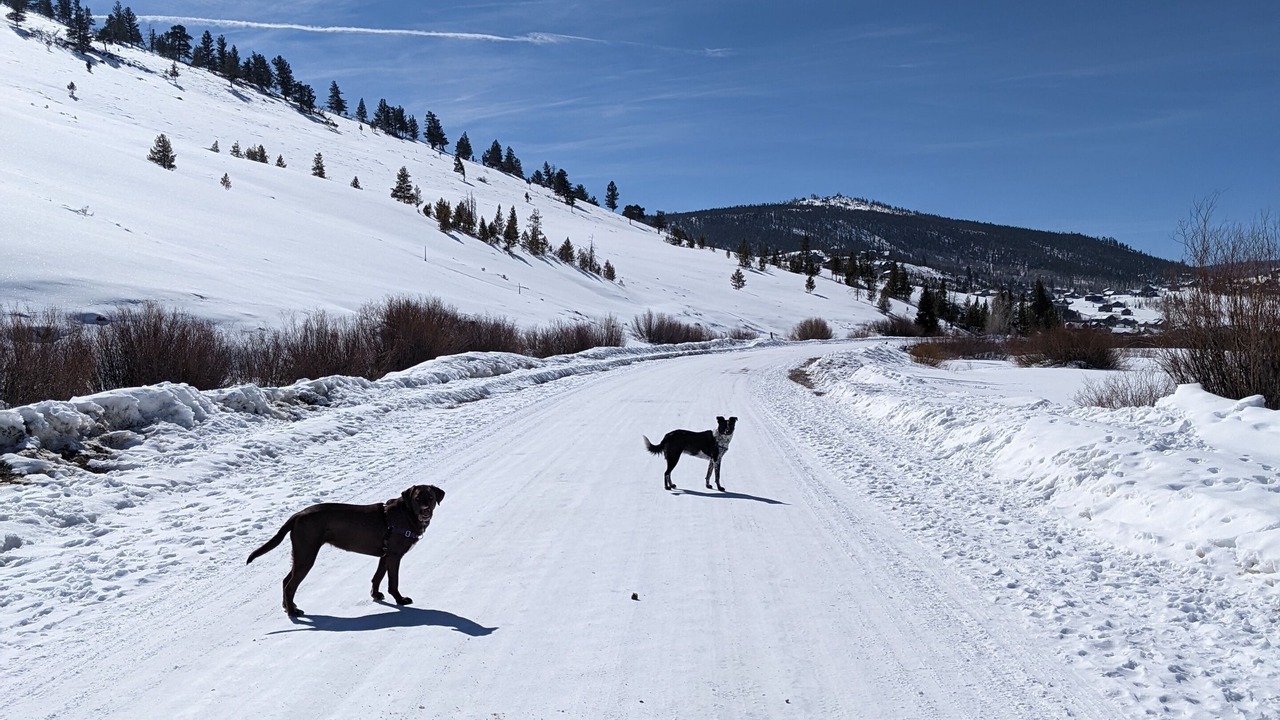 Photo of Others in Silvercreek