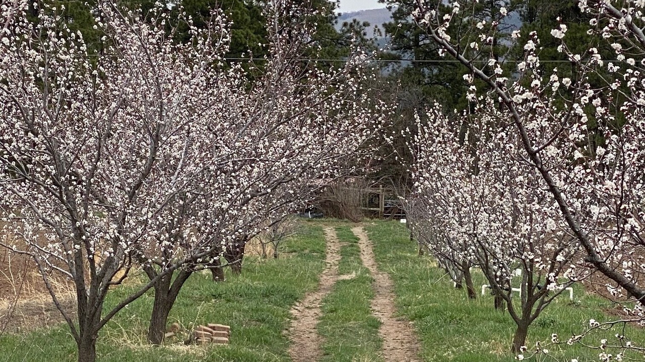 Photo of Outdoor in Durango