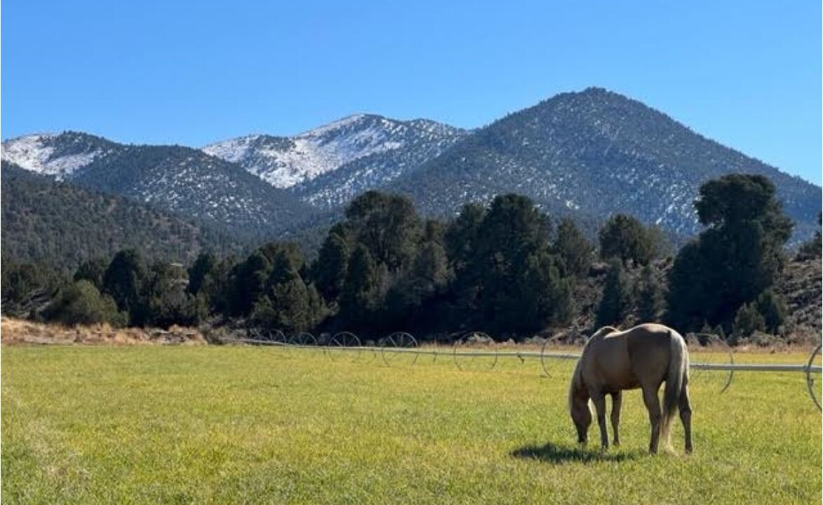 Photo of Outdoor in Eureka County