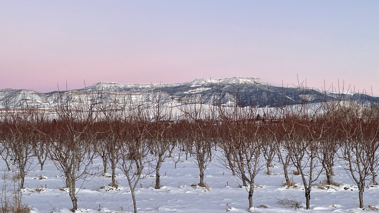 Photo of Outdoor in Palisade