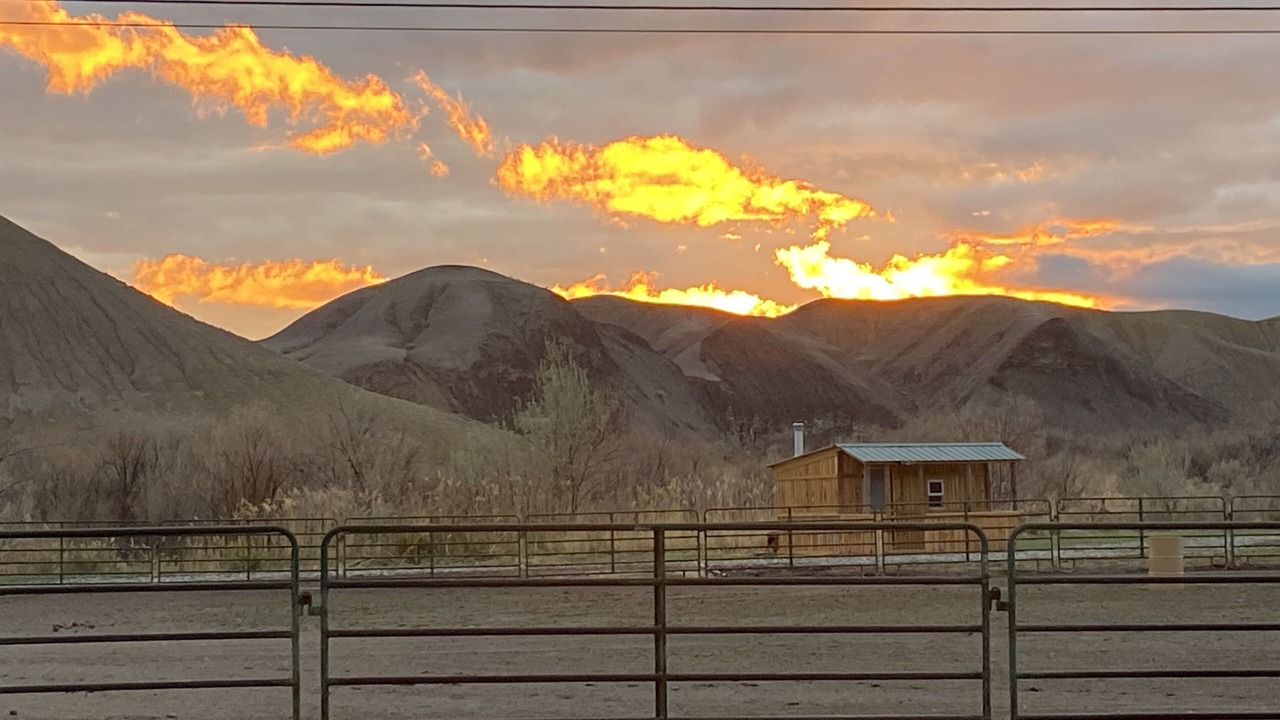 Photo of Outdoor in Lazear