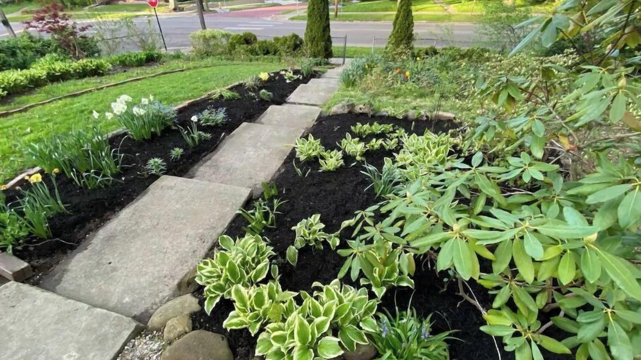 Photo of Outdoor in Highland Square