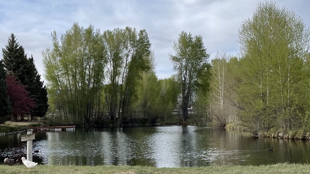 Photo of Outdoor in Gunnison