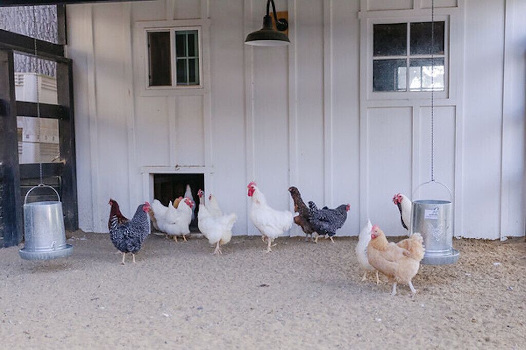 Photo of Others in Santa Ynez