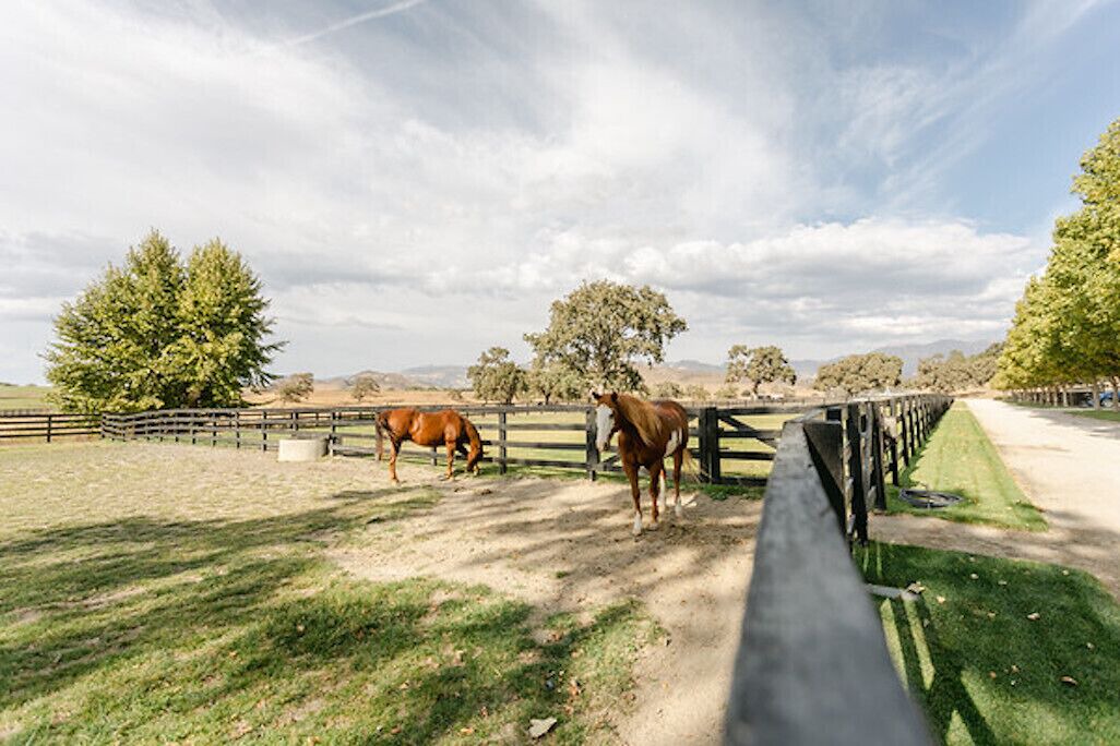 Photo of Others in Santa Ynez