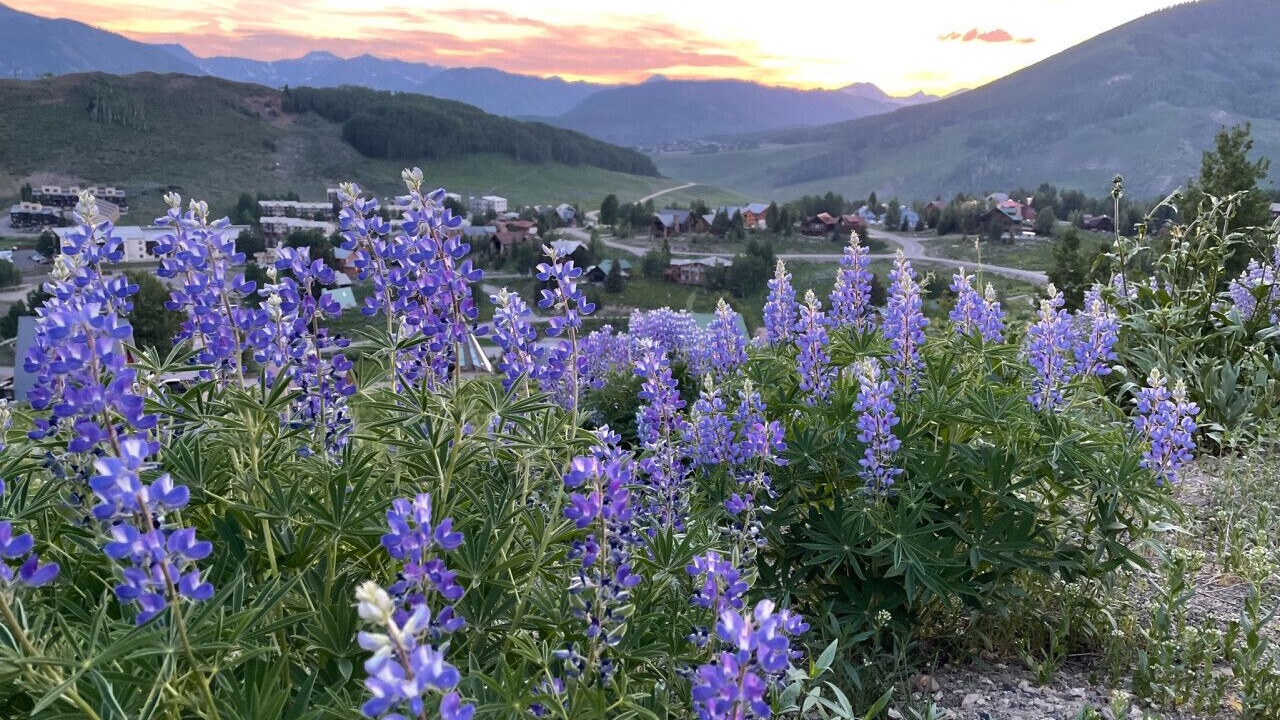 Photo of Others in Mount Crested Butte