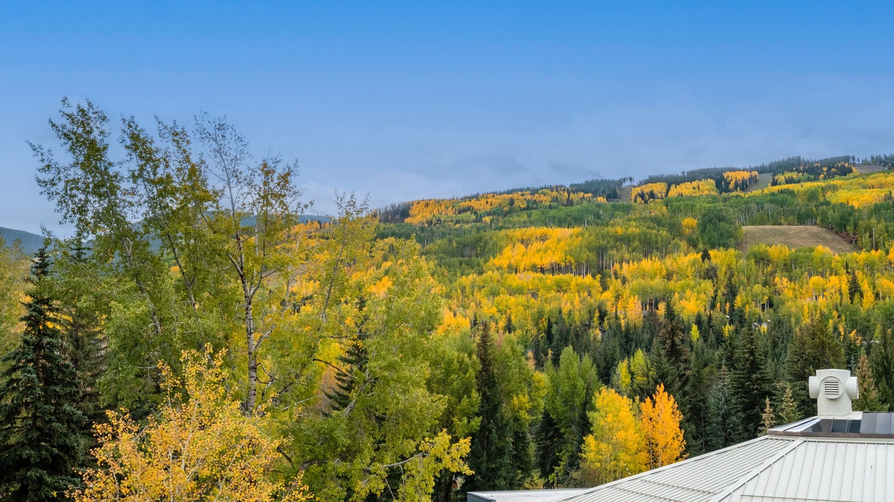 Photo of Others in Vail
