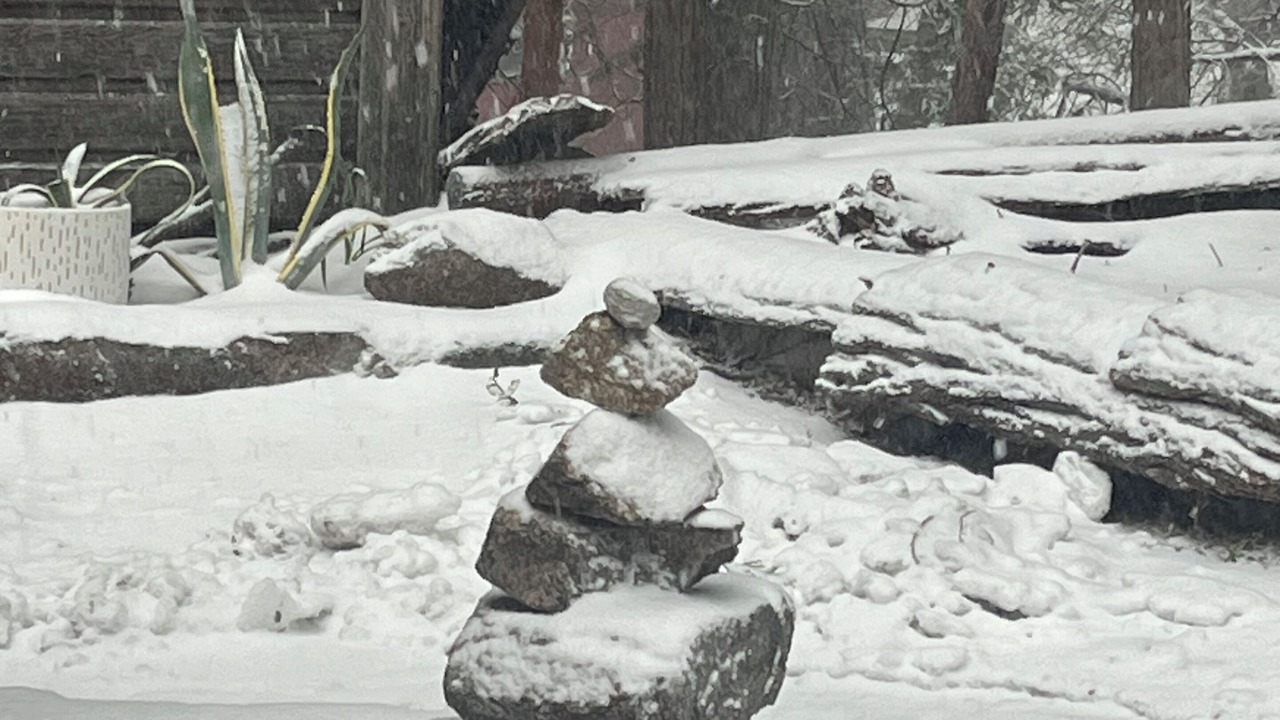 Photo of Outdoor in Crestline