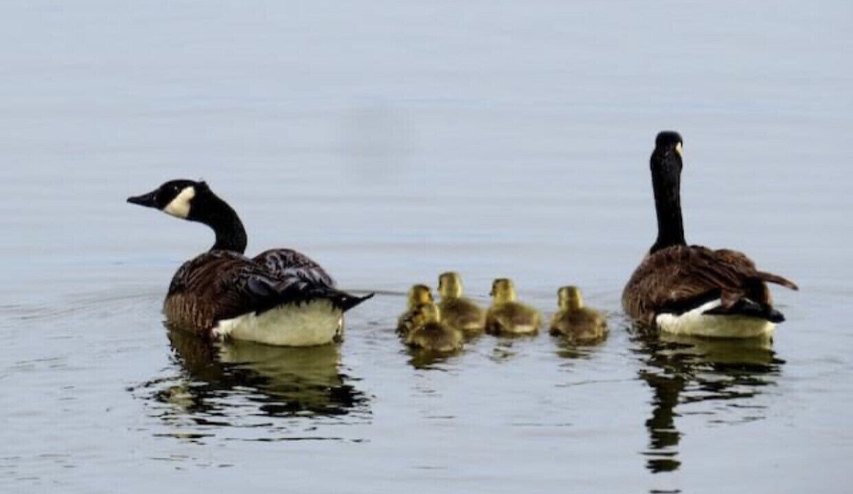 Photo of Others in Fountain