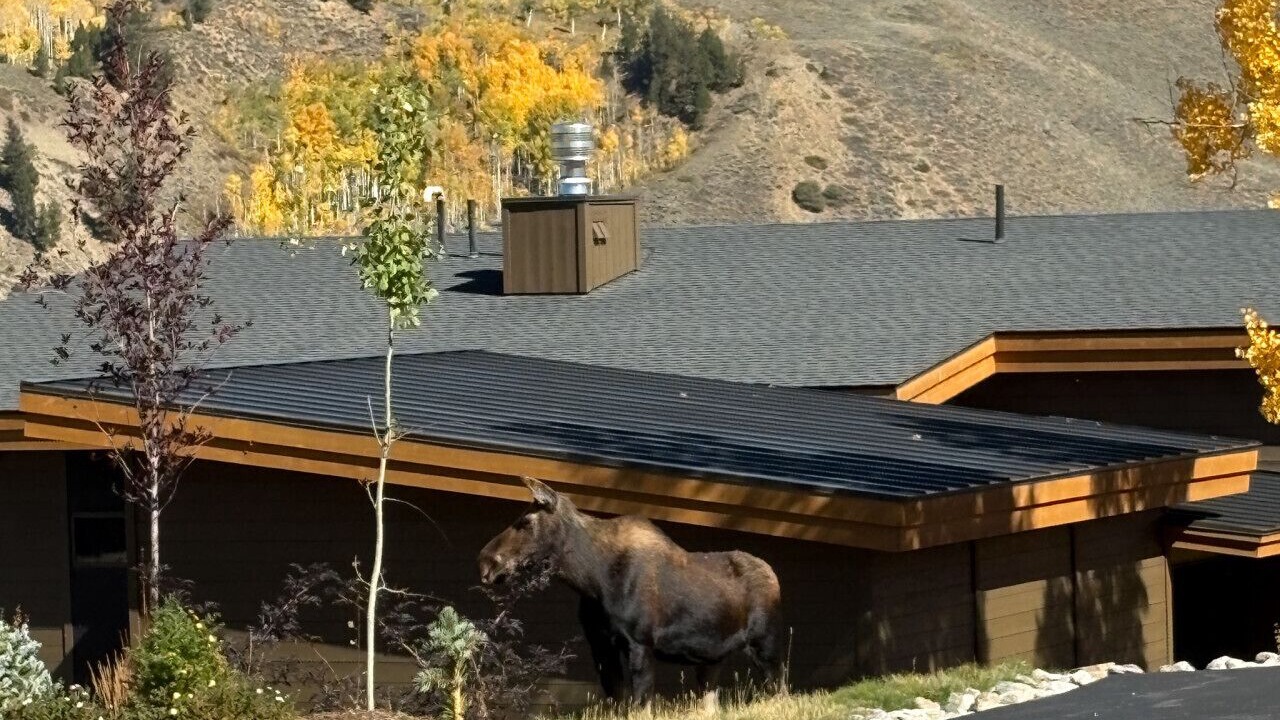 Photo of Others in Silverthorne