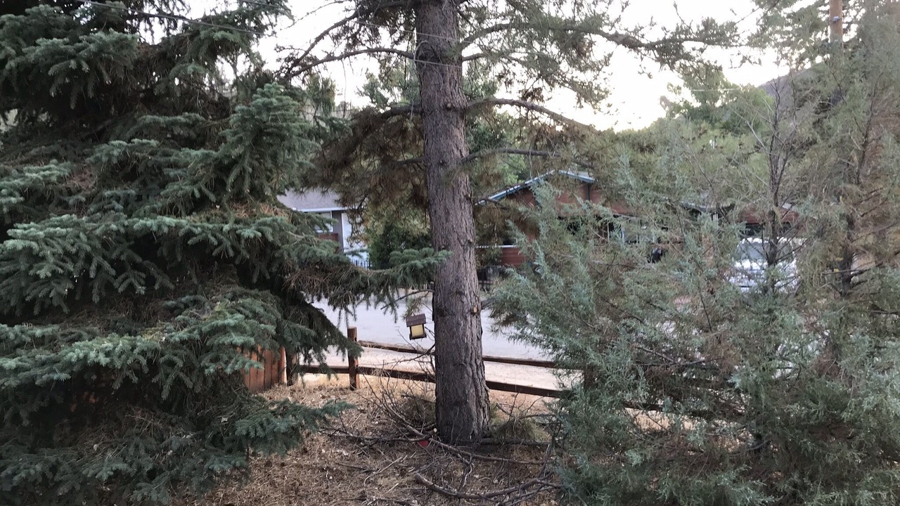 Photo of Outdoor in Frazier Park