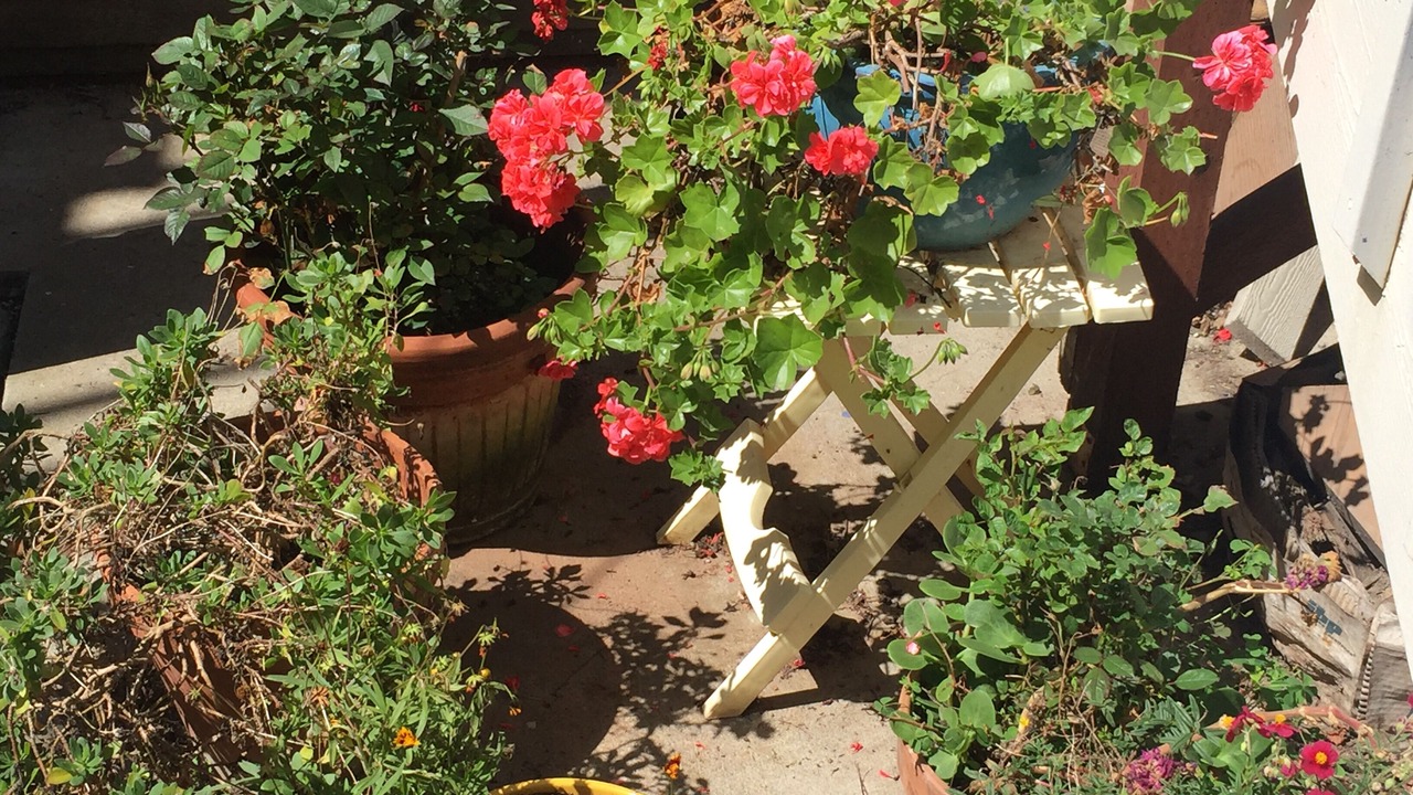 Photo of Outdoor in Oceano